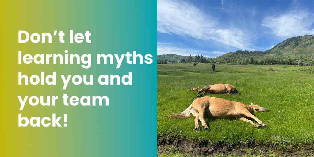 3 Common Learning Myths
